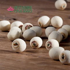 Grinding White Lotus Seed Nut Kernel Lotus Extract