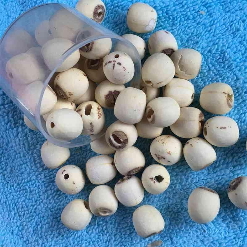 Grinding White Lotus Seed Nut Kernel Lotus Extract 5