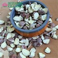 Shard Lotus Seed Nut Kernel Lotus