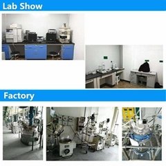 Hebei Aimai Biotechnology Co., Ltd