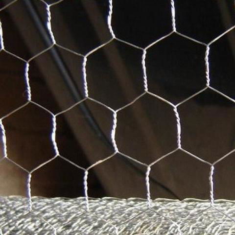 Hexagonal Wire Mesh 2