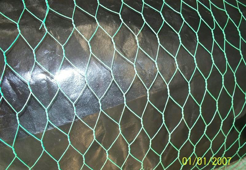 Hexagonal Wire Mesh 3