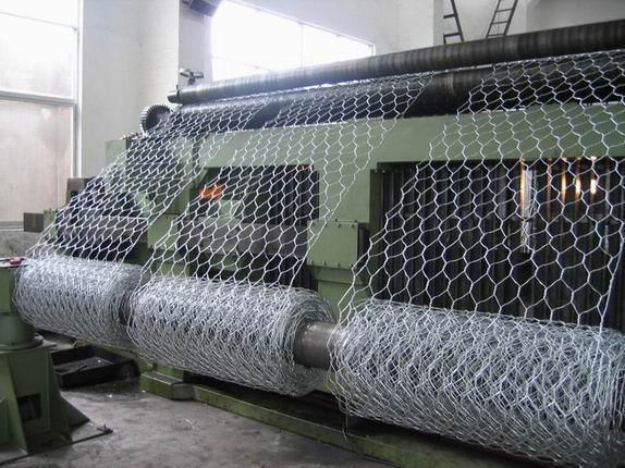 Hexagonal Wire Mesh 3