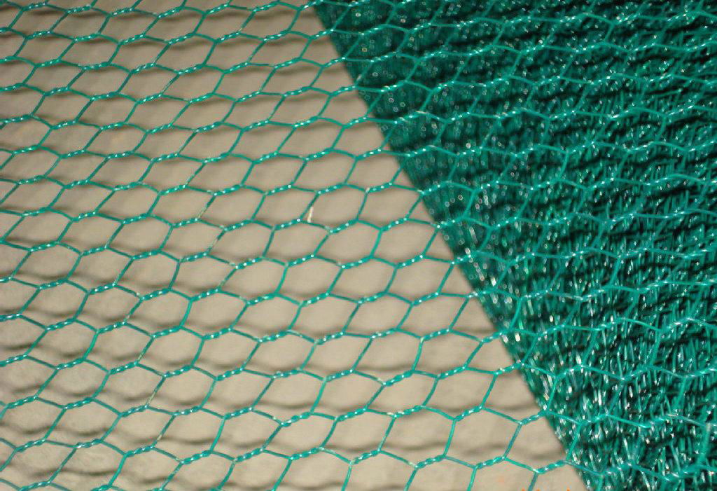 Hexagonal Wire Mesh 4