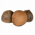 Coconut Shells 1