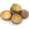 Coconut Shells 3