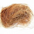 Long Coconut Fiber 1