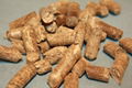 Coconut Peat Pellet 3