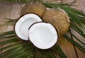 Semi Husked Mature Coconut 2