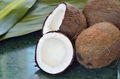 Semi Husked Mature Coconut 3