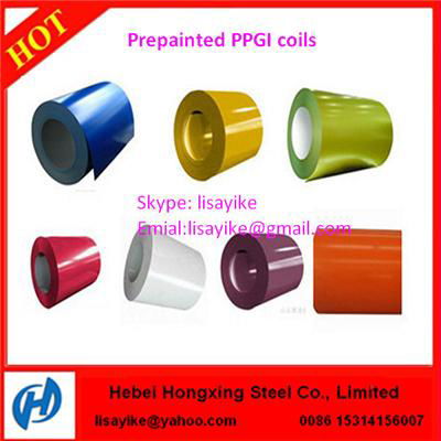 PPGI PPGL Color Coated Prepainted Galvanized Steel Coil 5