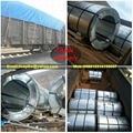 PPGI PPGL gi gl Color Coated Prepainted Galvanized Steel Coils on sale 1