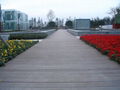 recyclable wood plastic composite flooring