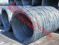 SAE1006/SAE1008 wire rod 5