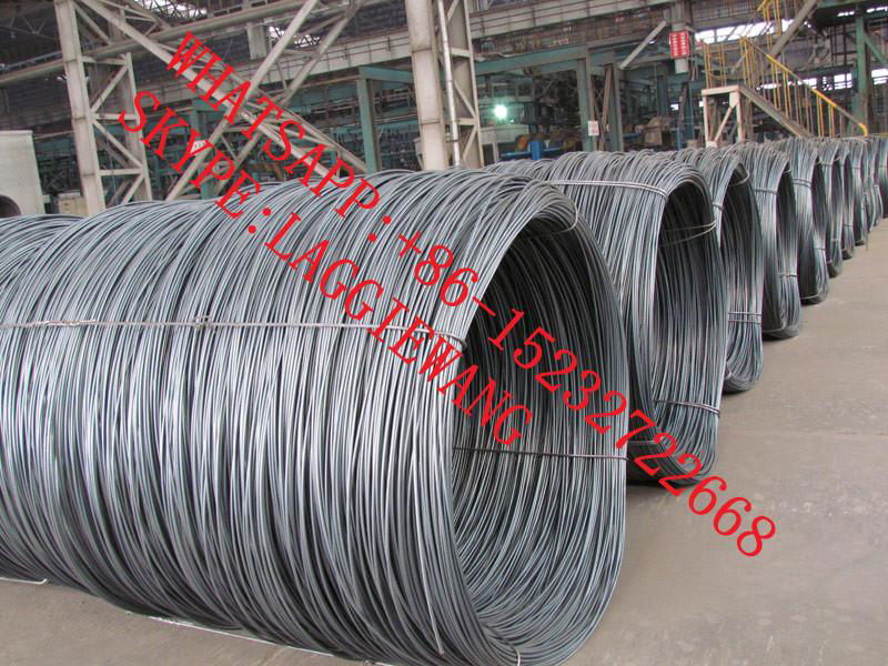 SAE1006/SAE1008 wire rod 3