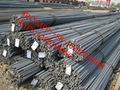 TMT rebar  2