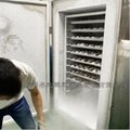 猫山王液氮速冻柜大产量速冻机