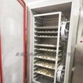 小型柜式液氮速冻机