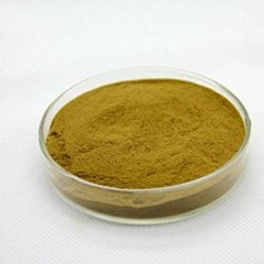 95% Mangiferin Powder Irvingia Gabonensis Mango Seed Extract