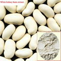 white kidney bean extract powder in bulk 1