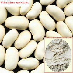 white kidney bean extract powder in bulk