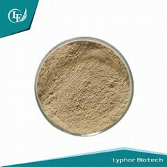 Sea Cucumber Extract Powder