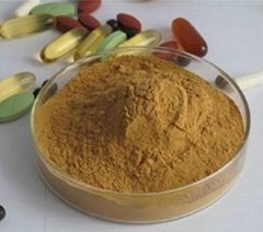 Top Quality Astragalus root Extract 98% Cycloastragenol powder HPLC