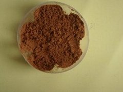 High Quality Mushroom Extract /Armillaria Mellea P.E. polysaccharide 30%