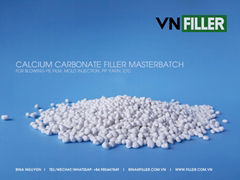 PP/PE FILLER MASTERBATCH