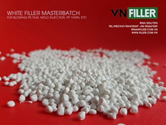 PP/PE FILLER MASTERBATCH