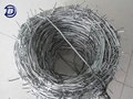 Cheap Price Galvanized Barbed Wire