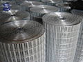 Welded Wire Mesh 1