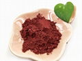 China Export Industrial Grade Cu2O Cuprous Oxide 1