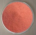 Reliable Manufacturer Supply Tomato Powder
