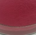 Factory Provide Top Quality Beetroot Powder 1
