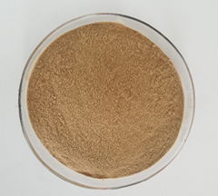 Hot Sale Polysaccharides Shiitake Mushroom Extract