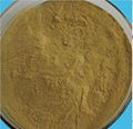 Factory Supply High Quality Soybean Phosphatidylcholine 1