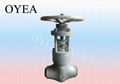 Wcb Forged Steel Stainless Steel Power Station Globe Valve 1