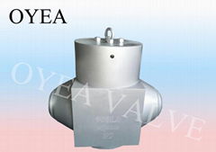 ANSI API Cast Steel Forged Steel High Temperature Power Station Check Valve