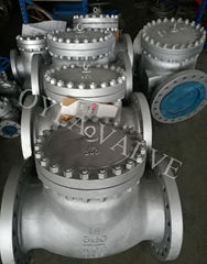 Cast Steel Stainless Steel Flanged Weld Swing Check Valve