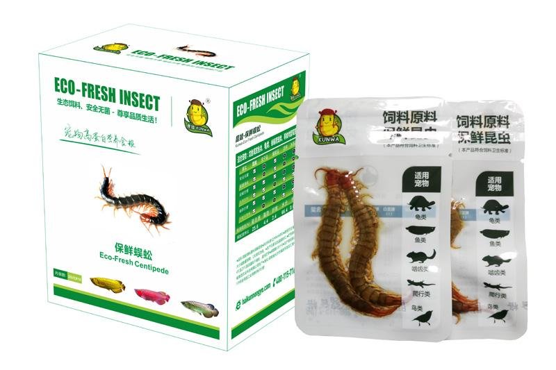 Eco Fresh Centipede Feed Arowana 
