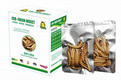 Eco Fresh Superworm Feed For Reptile and Fish