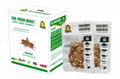 Eco Fresh Cricket Suitable For Reptile 1