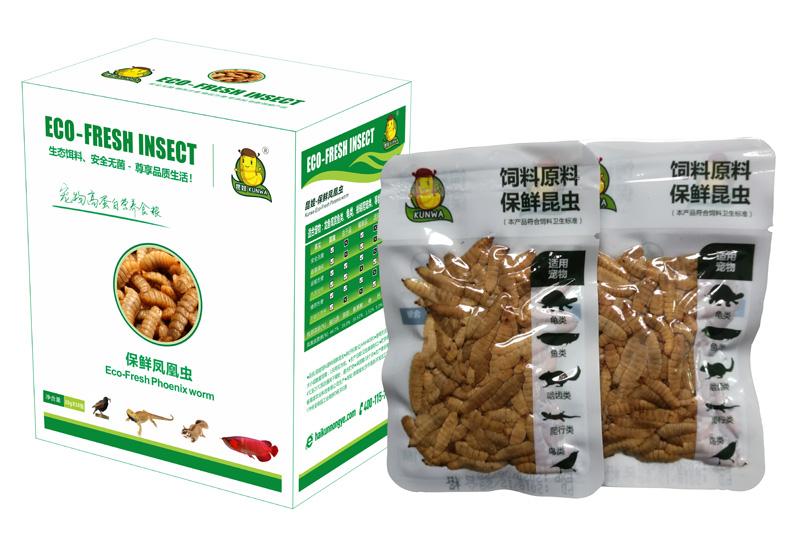 Eco Fresh Black Soldier Fly Larvae