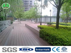 hollow green wood plastic composite