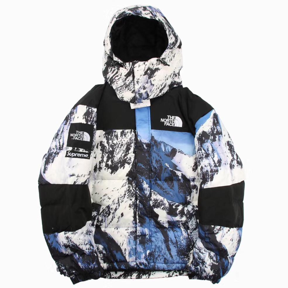 snow down parka north face