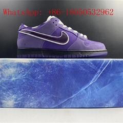      SB Dunk Low Concepts Sneaker Designer Shoe SB Low Sports Shoes