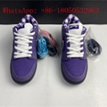 Nike SB Dunk Low Concepts Sneaker Designer Shoe SB Low Sports Shoes