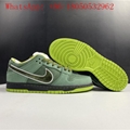 SB Dunk Low Concepts Sneaker Green