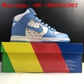 2021 New              SB Dunk High Pro